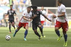 开云体育官网-汉堡主场获胜，球迷轰动场内的简单介绍