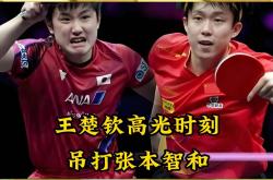 开云官网-包含韩国队碾压日本队，张本智和惊艳四座的词条