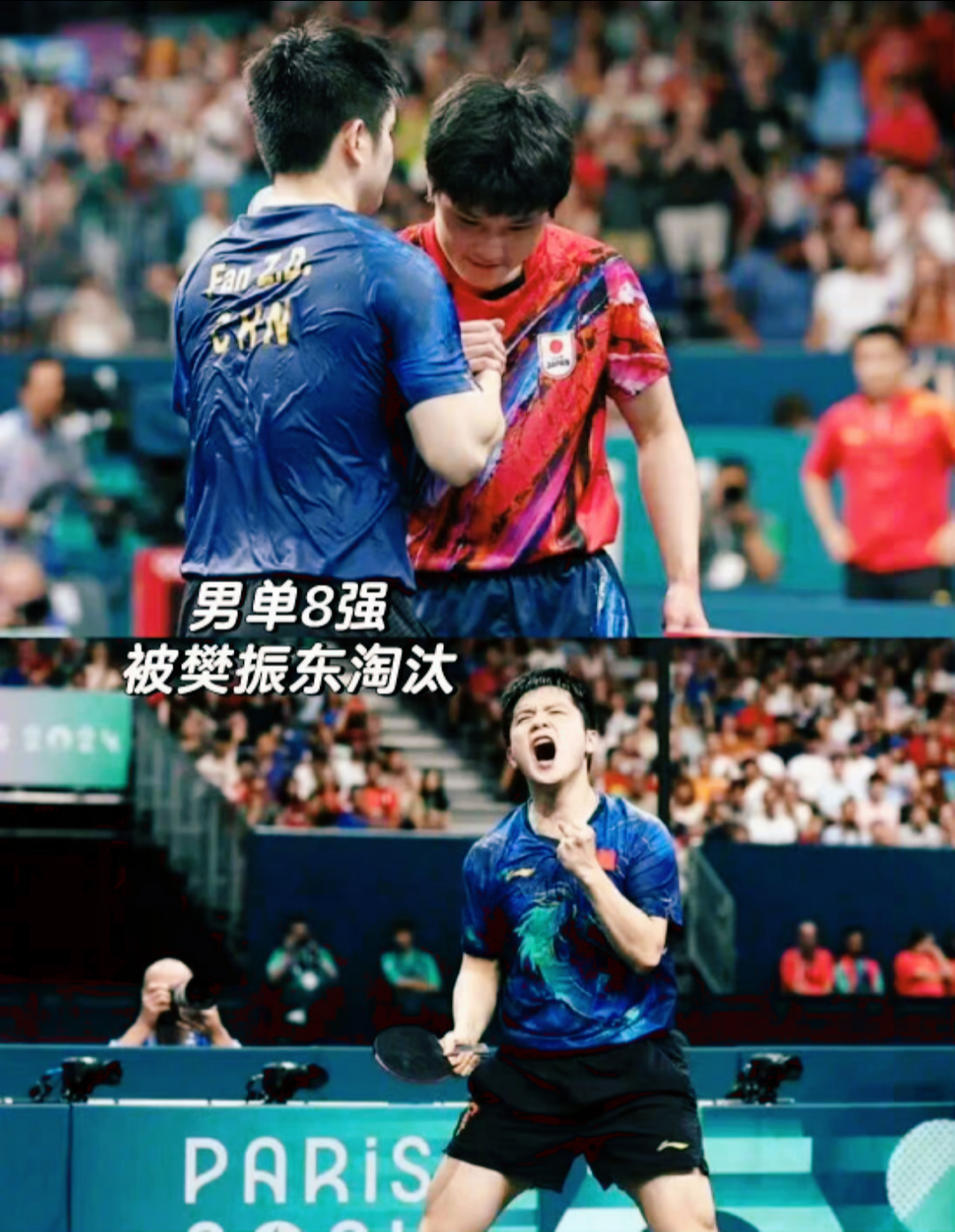 包含奥地利队碾压葡萄牙队，张本智和点燃赛场的词条