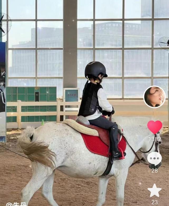 包含葡萄牙马术选手表现出色，赢得肯定的词条