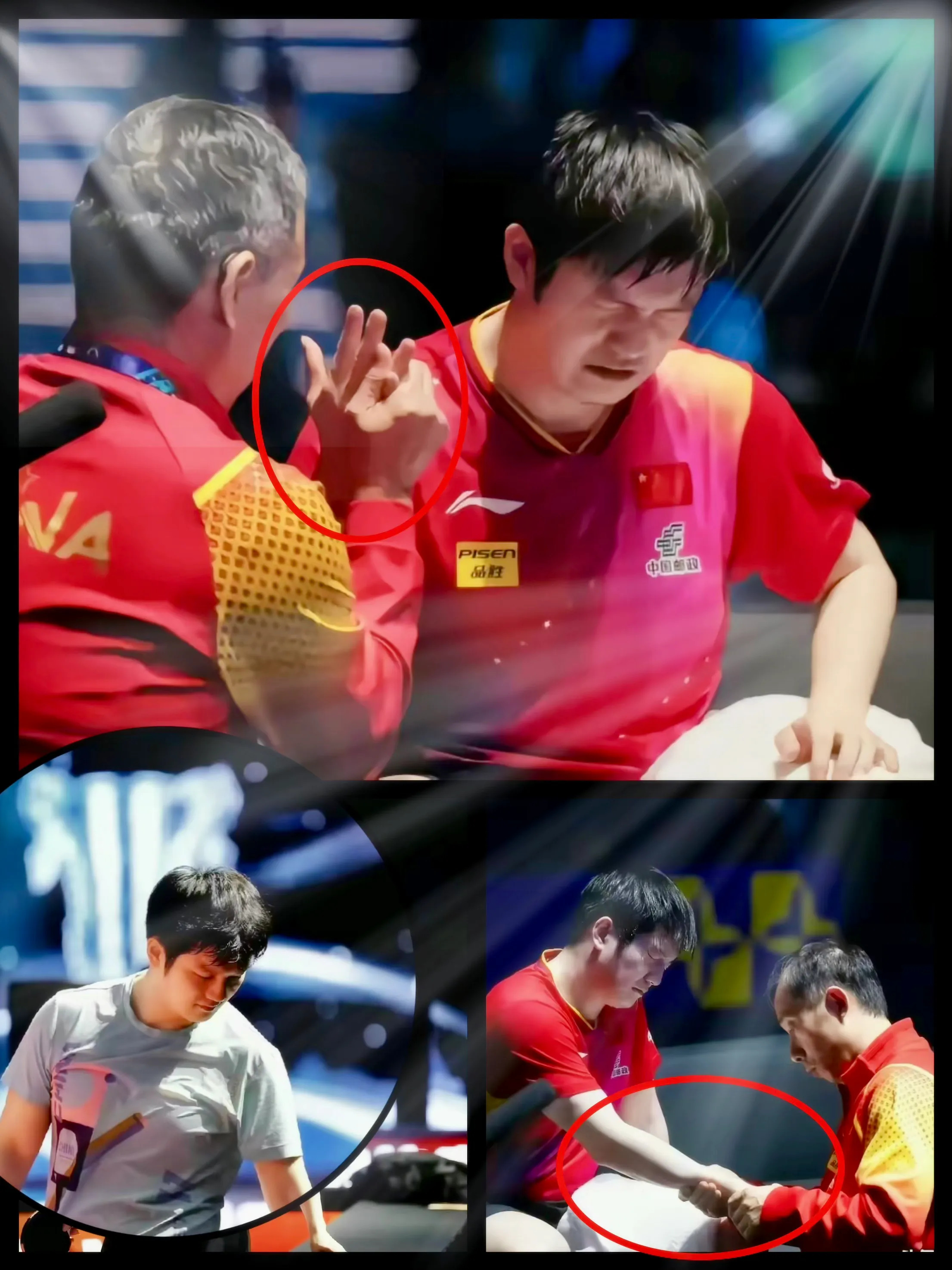 日本乒乓球队险胜瑞典乒乓球队，樊振东高光表现的简单介绍