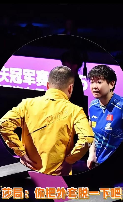 包含泰国羽毛球队翻盘印尼羽毛球队，马琳一己之力扛起全队的词条