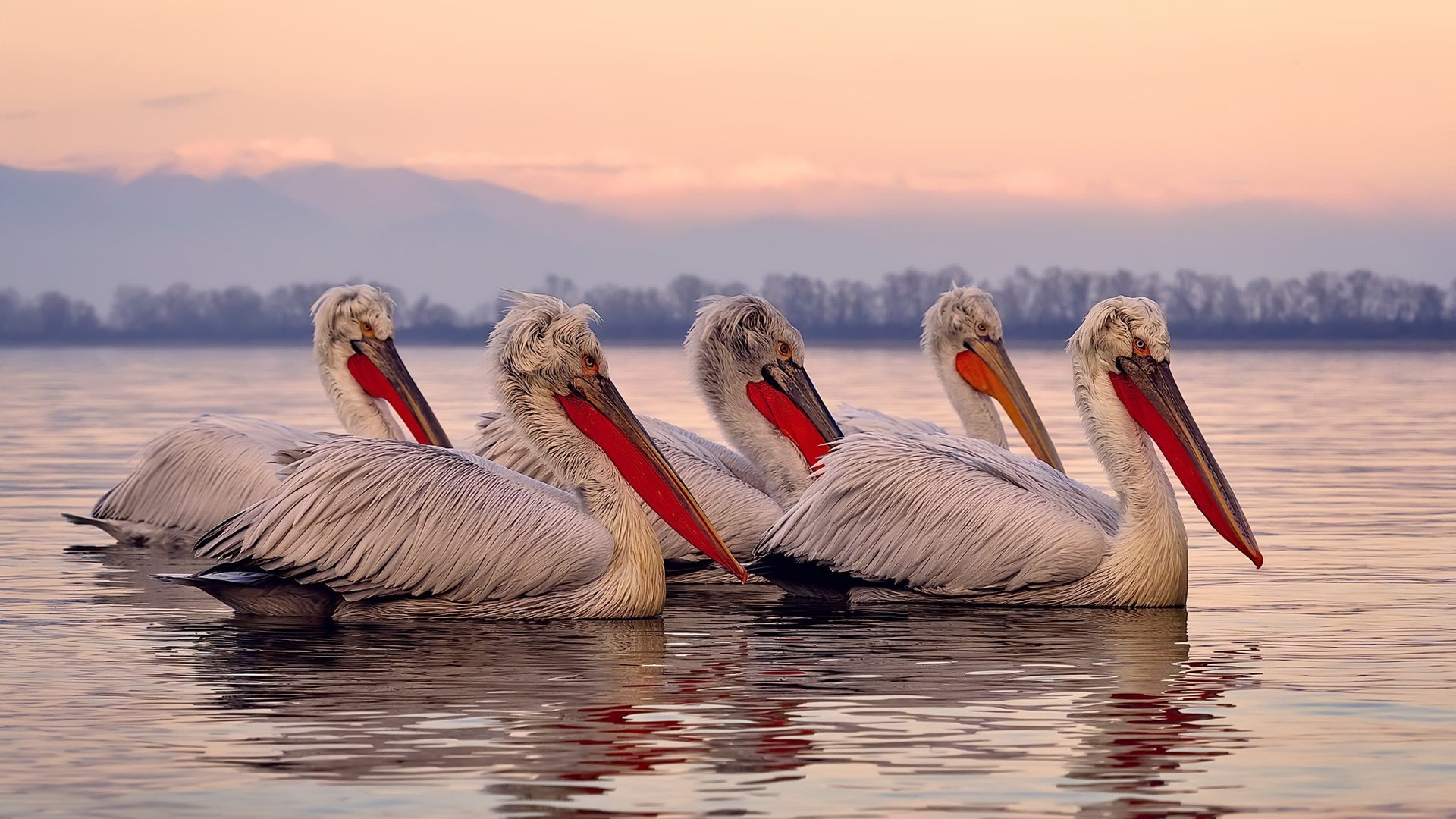 猛龙一波流定乾坤，布伦森世界排名战展露王者风范